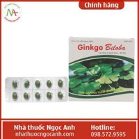 Ginkgo Biloba 40mg Medisun