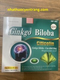 Ginkgo Biloba Citicolin