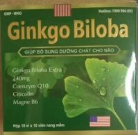 Ginkgo Biloba Extra 240mg Coenzym Q10 Dpqt Usa (H/100v) (Hình Lá Bạch Quả)