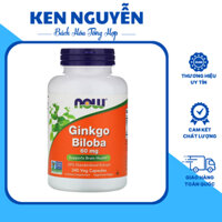 Ginkgo Biloba Giảm Căng Thẳng Stress Cải Thiện Trí Nhớ Giúp Thông Minh Now Ginkgo Biloba 60mg (240 Viên) - Ken Nguyễn- B