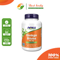 Ginkgo BiloBa Giảm Căng Thẳng Stress Cải Thiện Trí Nhớ Giúp Thông Minh Now Ginkgo Biloba 60mg (240 Viên)