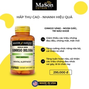 Ginkgo Biloba Mason Natural 500mg