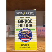 Ginkgo Biloba Mason Natural