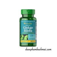 Ginkgo Biloba Puritan’s Pride Mỹ – Giúp Bổ Não, Tăng Cường Trí Nhớ