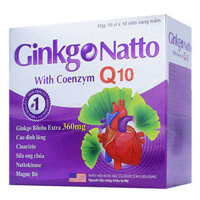 Ginkgo Natto With Coenzym Q10, hỗ trợ làm giảm các di chứng sau tai biến mạch máu não