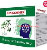 Ginkgomin Platinum - Giúp bổ huyết, dưỡng não hiệu quả