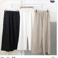 [GinStore] Quần culottes chun dây hàng QC