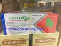 Gintecin 17.5mg