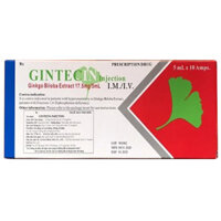 Gintecin injection 17.5mg/5ml điều trị các rối loạn tuần hoàn máu não