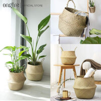 Giỏ cói trơn trồng câydecorđựng quần áođựng vật dụng nhỏ, Hàng XK Châu Âu  2025303540 - 20cm