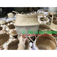 Giỏ cói trồng cây vintage, giỏ cói tua rua có quai size 32cm