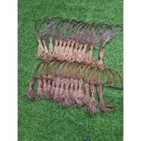 Giò Đón Bẫy Gà Rừng 20 chân