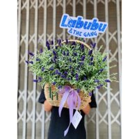 Giỏ Hoa "Hương Lavender" - 100% Hoa tươi, bó theo phong cách hiện đại, trẻ trung, ship hoả tốc HCM.