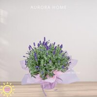 Giỏ hoa tươi lavender chúc mừng Sắc Xuân 02