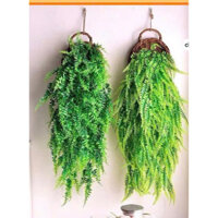 Giỏ Lá Treo Tường Dây Leo Giả Decor Nhiều Mẫu Trang Trí Nhà Siêu Hot tamkemdecor