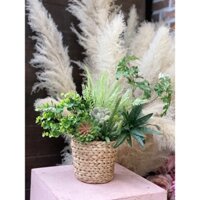 Giỏ lục bình có tay cầm dùng để trang trí nhà, trồng cây, decor phòng hàng có sẵn