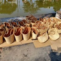 Giờ lục bình hình thang lớn