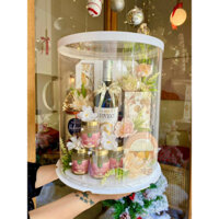 giỏ quà mix yến biếu tết mẫu mới 2024