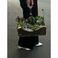 Giỏ quà tặng bằng mica - Hộp hoa trong suốt - Hộp mica đựng quà có quai xách