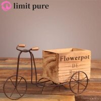 Giới HẠN Chân đế hoa xe đạp Ổn định cổ điển trong nhà