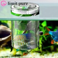 Giới HẠN PURE Bể ấp trứng nổi đa năng cho cá hề Betta