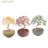 Giới HẠN WALK Cây đá quý Dây đồng Sức khỏe Trang chủ