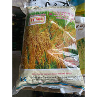 Giống Lúa lai VT404 Gói 800g - Siêu Chịu Hạn.