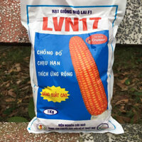 Giống ngô lai F1 LVN17