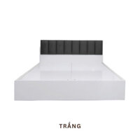Giường 1m6 gỗ trắng ốp nệm đen G06 giá rẻ