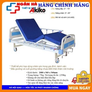 Giường bệnh nhân 3 tay Akiko A82