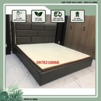 Giường bọc nệm cao cấp viền inox Adora - GIƯỜNG NGỦ BỌC DA 1m6 và 1m8