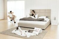 Giường da hạng sang mã DV13