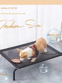 Giường dành cho chó cũi Giường dành cho thú cưng có thể tháo rời và giặt được Giường trại chống ẩm giường giường gấp gọn