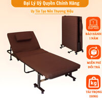 Giường gấp gọn Hàn quốc NIKITA HQ75, Rộng 75cm Dài 190cm - Tải trọng 180kg, công nghệ Nhật Bản