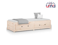 Giường Gỗ Đơn Hiện Đại GG008