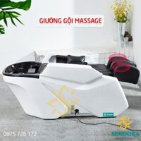 Giường gội đầu 2 in 1 cao cấp trang bị máy massage toàn thân, Giường gội đầu massage đa năng
