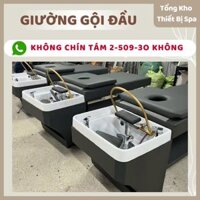 Giường gội đầu 2in1, Giường gội dưỡng sinh, bồn tai thỏ - [Nhận làm theo yêu cầu] Giá tại xưởng