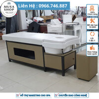 Giường gội đầu dưỡng sinh, Giường gội 2in1