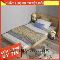 Giường hộp, giường ngủ gỗ - FREE SHIP - hàng đẹp, chất liệu gỗ tốt, bền, loại 1600x2000mm