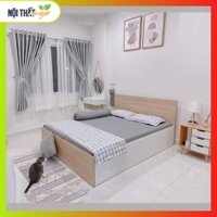 Giường ngủ 1m8x2m, 1m6x2m, 1m2x2m giường gỗ công nghiệp hiện đại với màu sắc đa dạng, giá rẻ