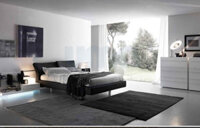 Giường ngủ chân Inox GN101