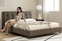 Giường ngủ da hạng sang mã 08