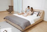 Giường ngủ da hạng sang mã 1607A