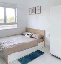 Giường Ngủ Đẹp Rẻ Tphcm