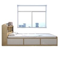 Giường ngủ đơn 1m2 – GN114
