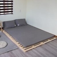 Giường ngủ gỗ CT01 Juno Sofa màu vàng nhạt  - 1m6 x 2m