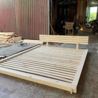 Giường ngủ gỗ CT02 Juno Sofa màu vàng nhạt - 1m6 x 2m