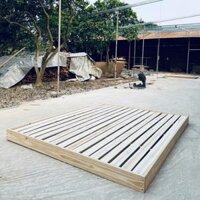 Giường ngủ gỗ CT11 Juno Sofa màu vàng nhạt  - 1m6 x 2m