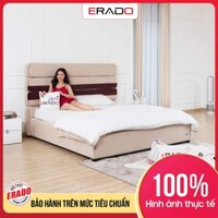 Giường ngủ khung gỗ, bọc vải nỉ cao cấp phong cách châu Âu sang trọng + Tặng dát giường + gối ngủ nhập khẩu mã AT4b
