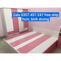 Giường ngủ nhựa Đài Loan ngang 1m6 Free Ship Hồ Chí Minh và Bình Dương